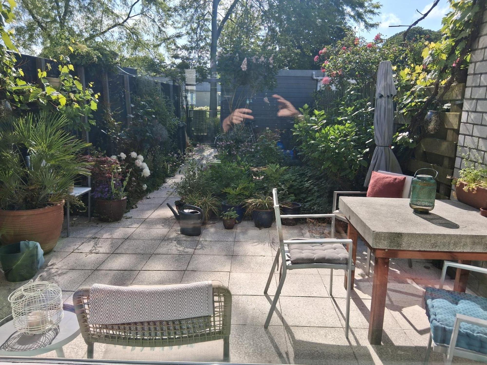 House Nearby Amsterdam *
